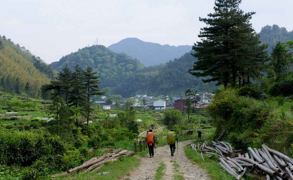 六股尖山脚下的鄣山村