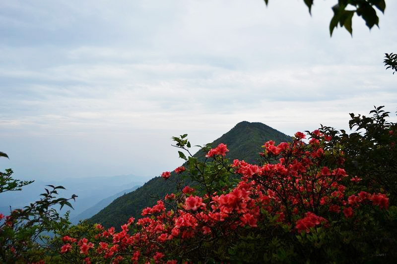 六股尖山顶风景秀丽