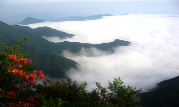 婺源鄣山村