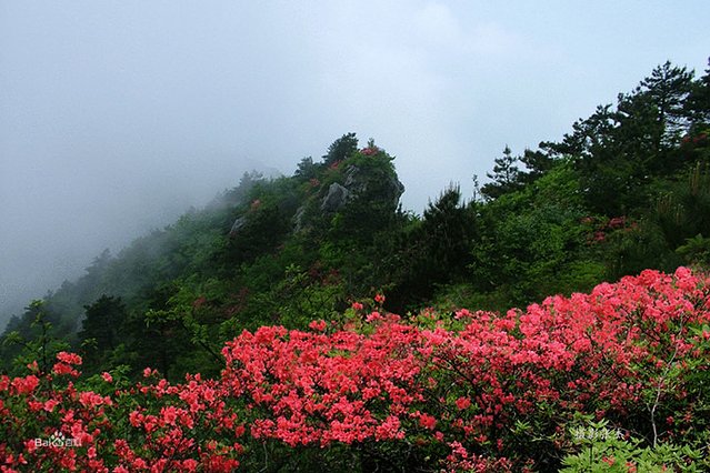 婺源鄣山村5