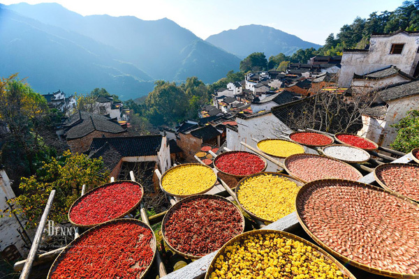 婺源旅游景点介绍 (东线、北线、西线) 门票价格