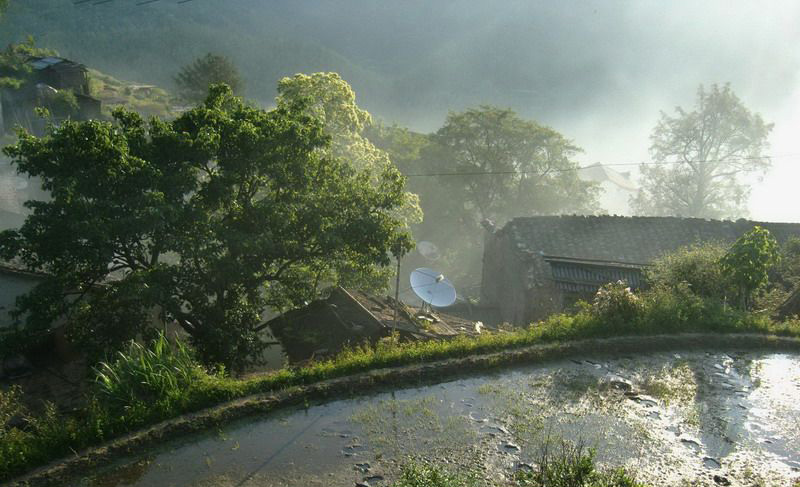 婺源阳汰村水田