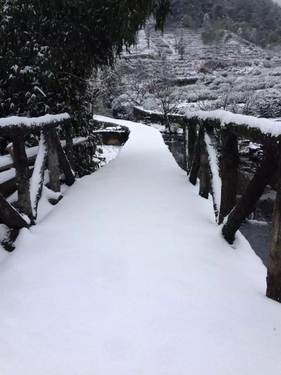 鄣山村下雪景色