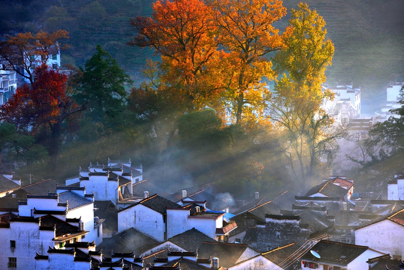 婺源赏枫地点石城