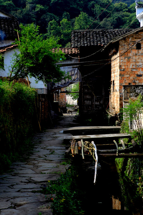 (原创)婺源坑头古村 - 柳子 - 橙柳子的摄影博客