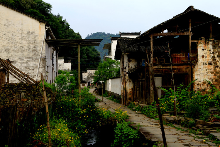 (原创)婺源坑头古村 - 柳子 - 橙柳子的摄影博客